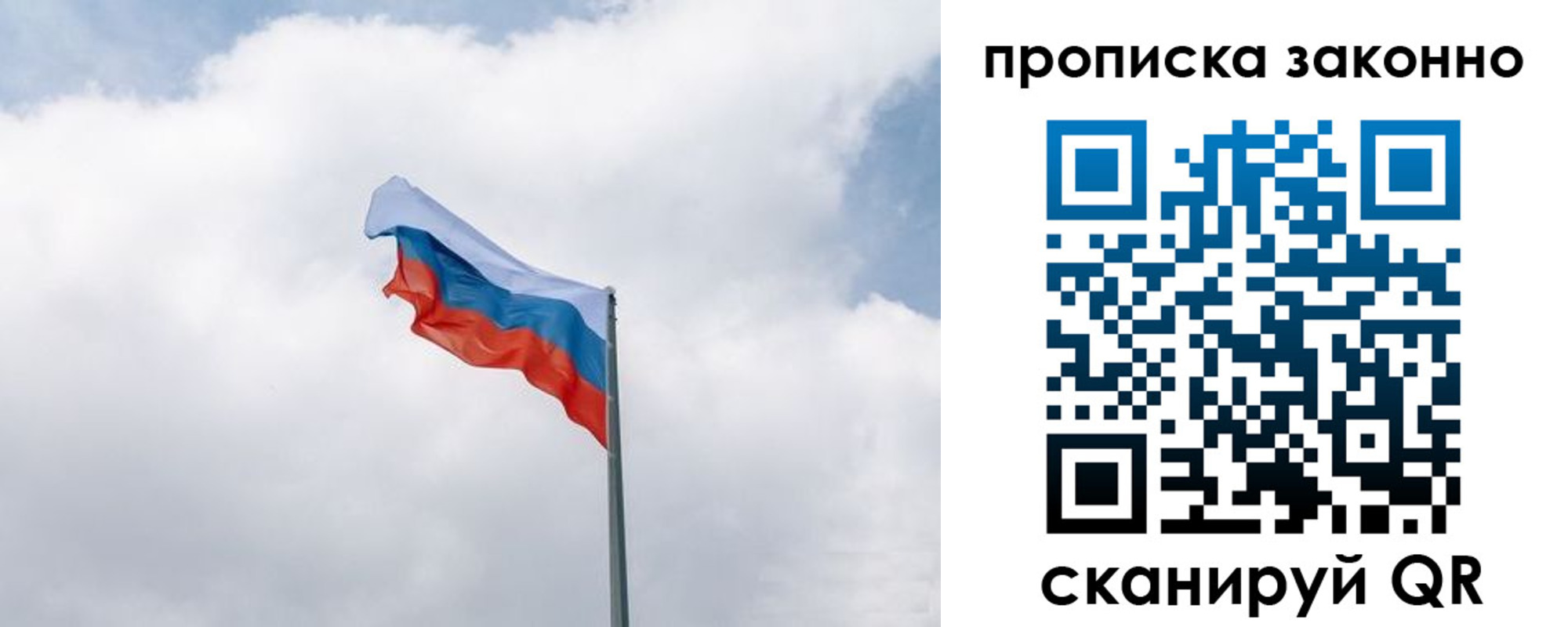 прописка поиск в Высоковске
